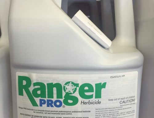 RANGER-PRO
