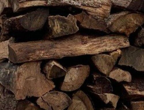Seasoned Oak Firewood For Sale